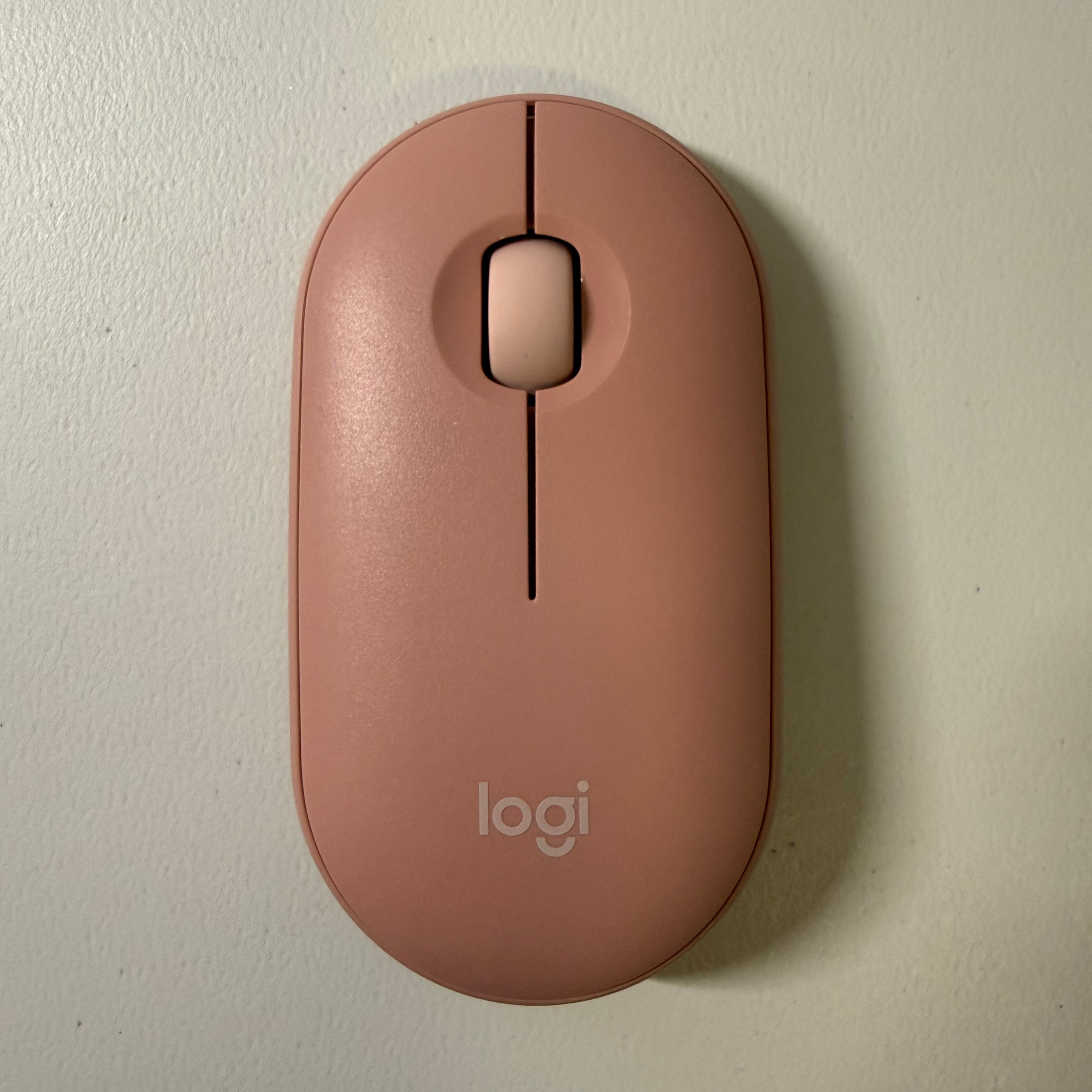 Reference photo of a pink computer mouse viewed from the top